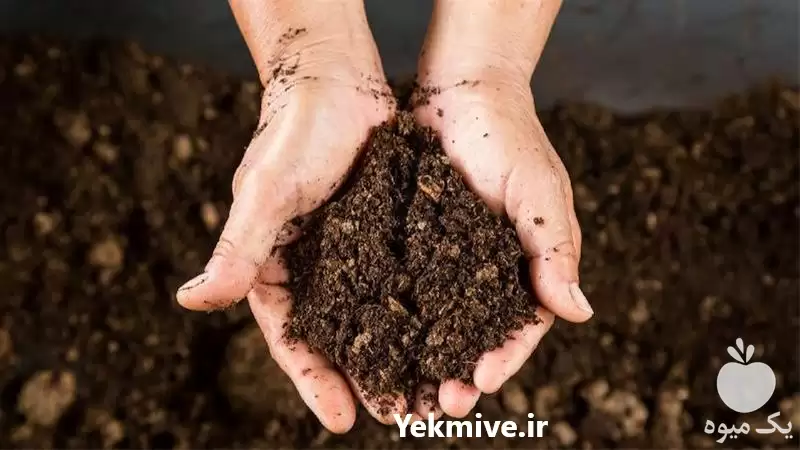 فروش خاک کوکوپیت در گروه خرید و فروش انواع کود کشاورزی در یکمیوه -عکس1