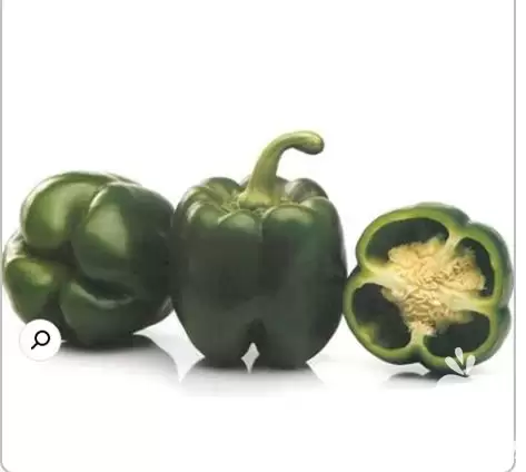 قیمت خرید بذر فلفل دلمه آریستوتل در گروه خرید و فروش فلفل در یکمیوه -عکس1