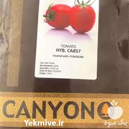 قیمت خرید بذر گوجه فرنگی کانیون در بجنورد در گروه خرید و فروش نشا در یکمیوه -عکس1