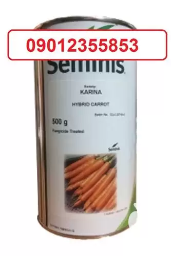 فروش بذر هویج کارینا در کرمان  در گروه خرید و فروش دستگاه هویج در یکمیوه -عکس1