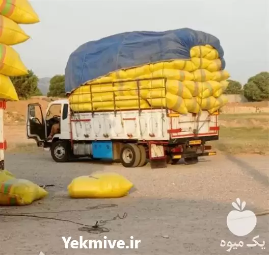 فروش کاه نرم گندم در مشهد در گروه خوراک دام و طیور در یکمیوه -عکس1