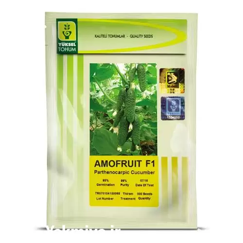 فروش عرضه بذر خیار الیور در بوشهر در گروه خرید و فروش بذر خیار در یکمیوه -عکس1