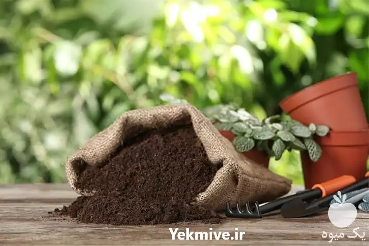 قیمت خرید قیمت کود آمینو اسید در تهران در گروه خرید و فروش انواع کود کشاورزی در یکمیوه -عکس1