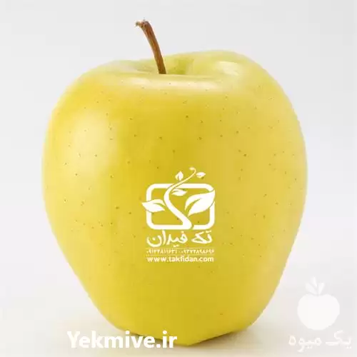 فروش نهال سیب گلدن دلیشیز در گروه خرید و فروش نهال میوه در یکمیوه -عکس1