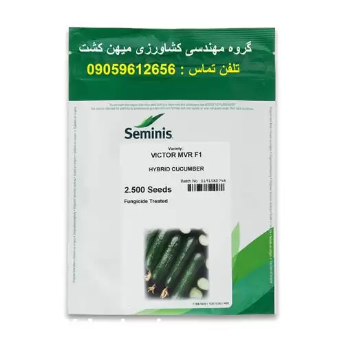 فروش بذر خیار گلخانه ای ویکتور در یزد در گروه خرید و فروش بذر خیار در یکمیوه -عکس1
