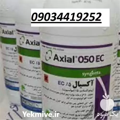 قیمت خرید بذر خیار امپراطور در زنجان در گروه خرید و فروش بذر خیار در یکمیوه -عکس1