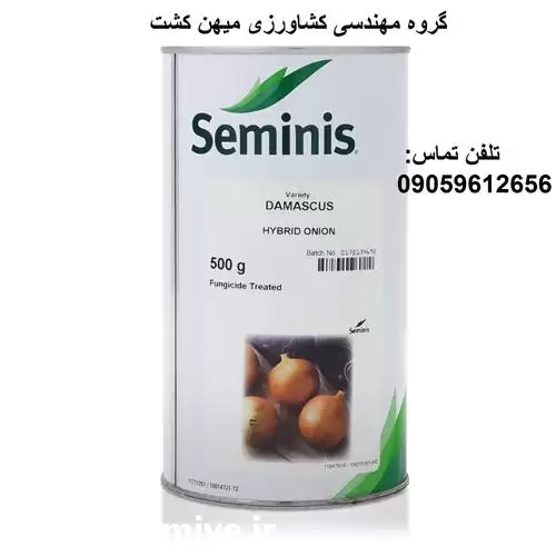بذر پیاز زرد داماسکوس در گروه خرید و فروش پیاز در یکمیوه -عکس1