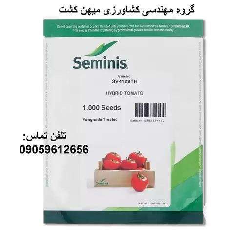 فروش بذر گوجه فرنگی 4129 در گروه خرید و فروش بذر گوجه در یکمیوه -عکس1