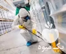 سمپاشی منزل ادارات محل کار رستوران در گروه خدمات باغبانی در یکمیوه -عکس1