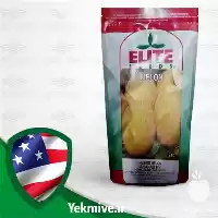 فروش بذر ملون اناناسی الیت آمریکا در کرمان  در گروه خرید و فروش بذر ملون در یکمیوه