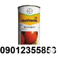 قیمت بذر گوجه فرنگی سانسید 6189 در گروه خرید و فروش بذر گوجه در یکمیوه