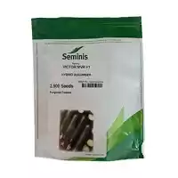 قیمت خرید بذر خیار ویکتور سمینیس در کرمان  در گروه خرید و فروش بذر خیار در یکمیوه