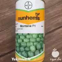 فروش بذر هندوانه مونتانا در ساری در گروه خرید و فروش بذر هندوانه در یکمیوه