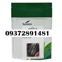 فروش بذر خیار b 32 قیمت در شیراز در گروه خرید و فروش بذر خیار در یکمیوه