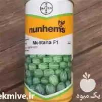 فروش بذر مونتانا در تبریز در گروه خرید و فروش هندوانه در یکمیوه