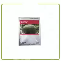 فروش سفارش بذر هندوانه آستاراخان در کرمان  در گروه خرید و فروش بذر هندوانه در یکمیوه