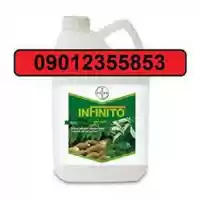 قیمت خرید قارچ کش اینفینتیو در گروه خرید و فروش انواع سم در یکمیوه