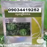 بذر هندوانه باراکا پرفروش اصل در اهواز در گروه خرید و فروش هندوانه در یکمیوه