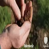 فروش ارسال خاک باغچه از معدن در تهران در گروه انواع محصولات خاک و تغذیه در یکمیوه