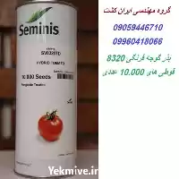 قیمت خرید بذر گوجه 8320 در اهواز در گروه خرید و فروش بذر گوجه در یکمیوه