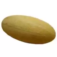 فروش بذر خربزه مینو قیمت بذر در گروه خرید و فروش بذر خربزه در یکمیوه