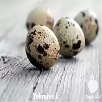 قیمت خرید انواع تخم نطفه دار در اهواز در گروه انواع تخم ها در یکمیوه