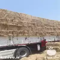 فروش کاه گندم در گروه خوراک دام و طیور در یکمیوه