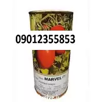 فروش بذر گوجه فرنگی مارول در تهران در گروه خرید و فروش بذر گوجه در یکمیوه