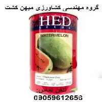 بذر هندوانه سفید هد در قزوین در گروه خرید و فروش هندوانه در یکمیوه