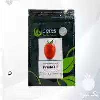 فروش بذر گوجه فرنگی پرادو در ارومیه در گروه خرید و فروش بذر گوجه در یکمیوه
