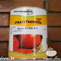 فروش بذر گوجه فرنگی سانسید 6189 در گروه خرید و فروش بذر گوجه در یکمیوه