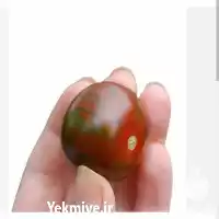 قیمت خرید بذر گوجه فرنگی چری در ارومیه در گروه خرید و فروش بذر گوجه در یکمیوه