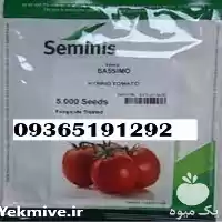 فروش بذر گوجه باسیمو قیمت خوب در کرمان  در گروه خرید و فروش بذر گوجه در یکمیوه