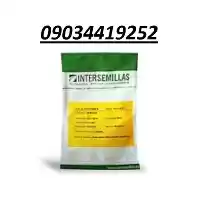 بذر خیار کاترینا پر فروش اصل در گروه خرید و فروش خیار در یکمیوه