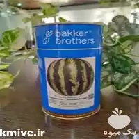 فروش بذر هندوانه سفید بیکر اصل در تبریز در گروه خرید و فروش بذر هندوانه در یکمیوه