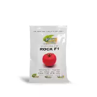 فروش بذر گوجه فرنگی راک بسیار در همدان در گروه خرید و فروش بذر گوجه در یکمیوه