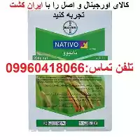 فروش قارچ کش ناتیوو Nativo در گروه خرید و فروش انواع سم در یکمیوه