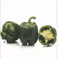 قیمت خرید بذر فلفل دلمه آریستوتل در گروه خرید و فروش فلفل در یکمیوه