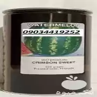 هندوانه کانیون پر فروش اصل در شیراز در گروه خرید و فروش هندوانه در یکمیوه