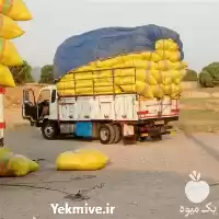 فروش کاه نرم گندم در مشهد در گروه خوراک دام و طیور در یکمیوه