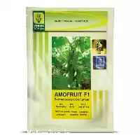 فروش عرضه بذر خیار الیور در بوشهر در گروه خرید و فروش بذر خیار در یکمیوه