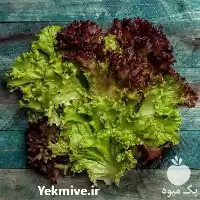 قیمت خرید بذر کاهو فرانسوی قرمز در تبریز در گروه خرید و فروش بذر کاهو در یکمیوه