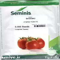 فروش بذر گوجه باسیمو اصل در شیراز در گروه خرید و فروش بذر گوجه در یکمیوه