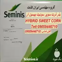 قیمت خرید بذر ذرت شیرین پشن در گروه خرید و فروش بذر ذرت در یکمیوه