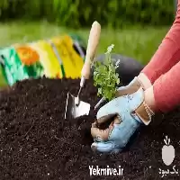 قیمت خرید کود حیوانی گاوی گوسفندی در تهران در گروه خرید و فروش کود حیوانی در یکمیوه