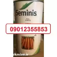 قیمت خرید بذر هویج یکی در بوشهر در گروه خرید و فروش بذر هویج در یکمیوه