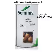 بذر پیاز زرد داماسکوس در گروه خرید و فروش پیاز در یکمیوه
