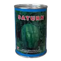 فروش بذر هندوانه ساترن خطی در کرمان  در گروه خرید و فروش بذر هندوانه در یکمیوه