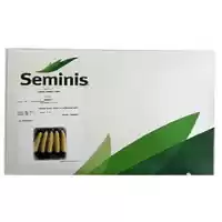 قیمت خرید توزیع بذر ذرت مریت در اهواز در گروه خرید و فروش بذر ذرت در یکمیوه