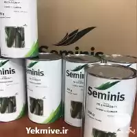 فروش بذر خیار n 2 در یزد در گروه خرید و فروش بذر خیار در یکمیوه